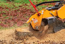 Best Soil Testing and Treatment  in Mayfield, PA
